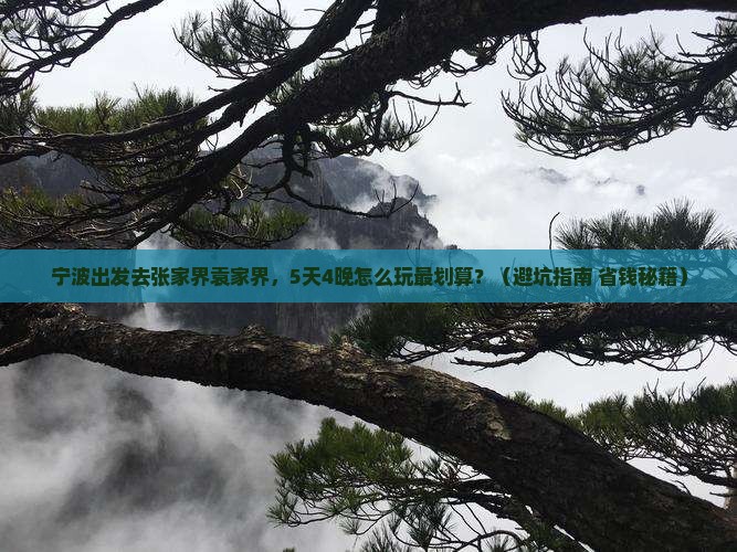 宁波到张家界袁家界旅行社