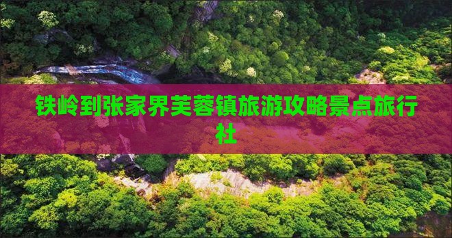 铁岭到张家界芙蓉镇旅行社
