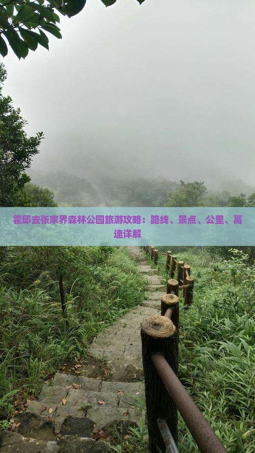 霍邱去张家界森林公园必去地