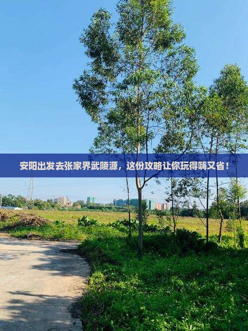 安阳去张家界武陵源旅行社