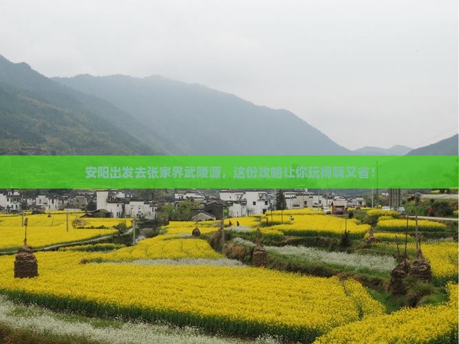 安阳去张家界武陵源旅行社