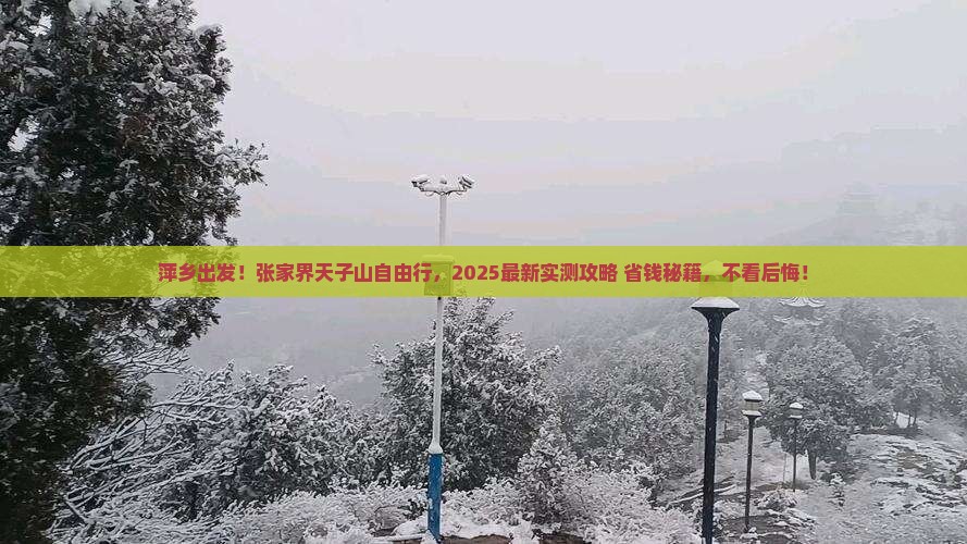 萍乡到张家界天子山自由行