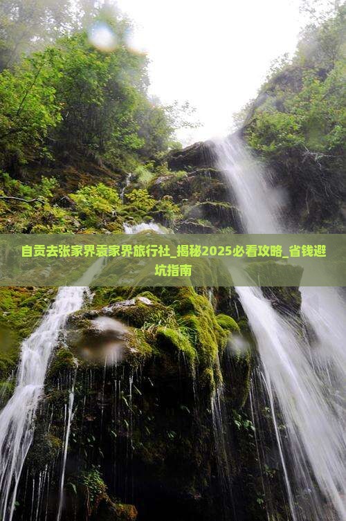 自贡去张家界袁家界旅行社