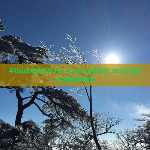 平顶山去张家界天子山一日