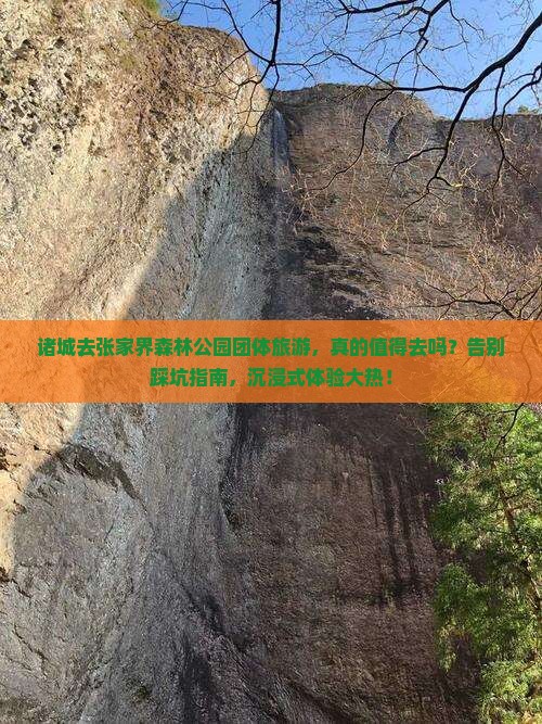 诸城去张家界森林公园团体旅游