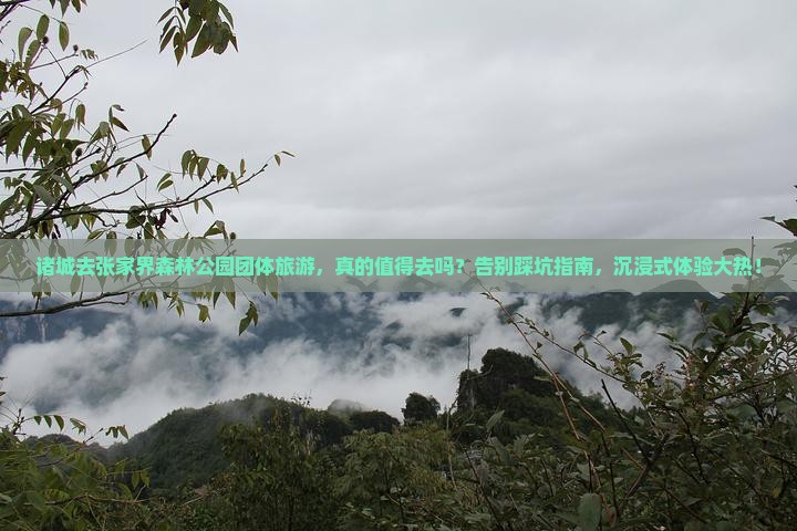 诸城去张家界森林公园团体旅游