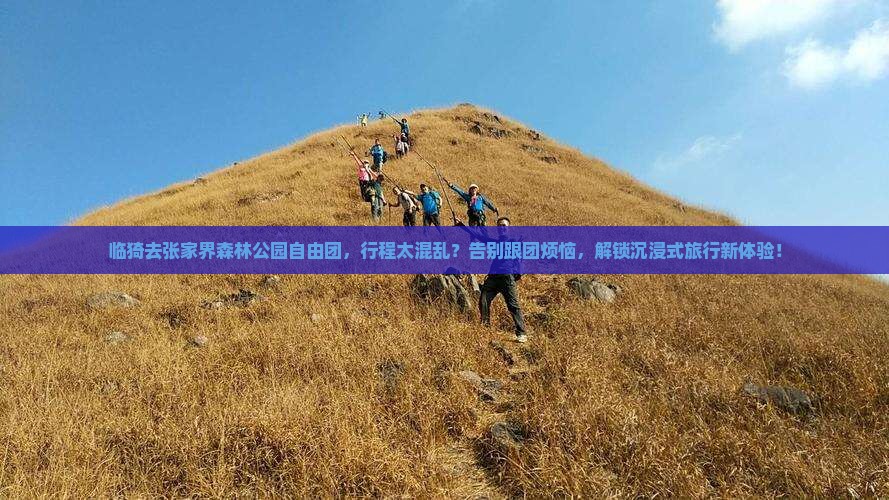 临猗去张家界森林公园自由团