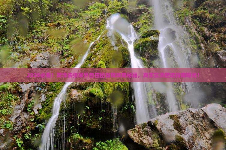 菏泽去张家界自由团