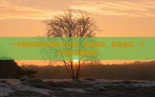 一月到张家界芙蓉镇三日游