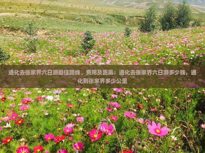 通化去张家界六日游