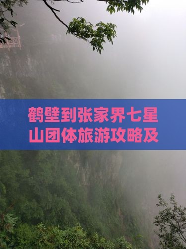 鹤壁到张家界七星山团体旅游