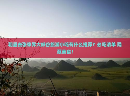 和县去张家界大峡谷旅游小吃