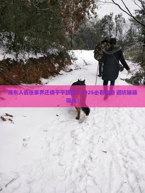 海东去张家界大型旅游团