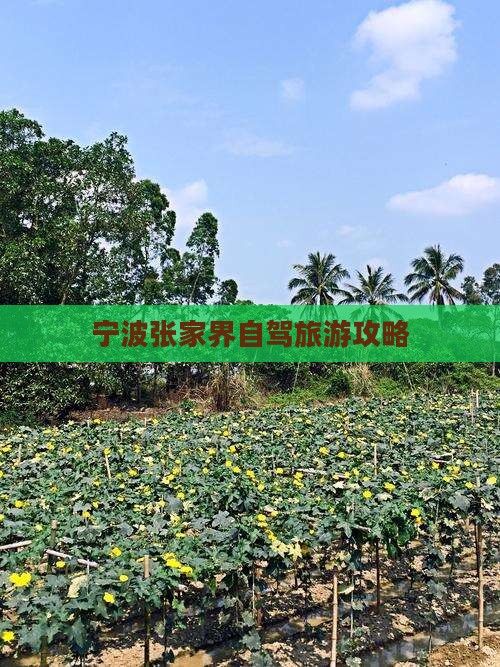 宁波去张家界大峡谷个人游