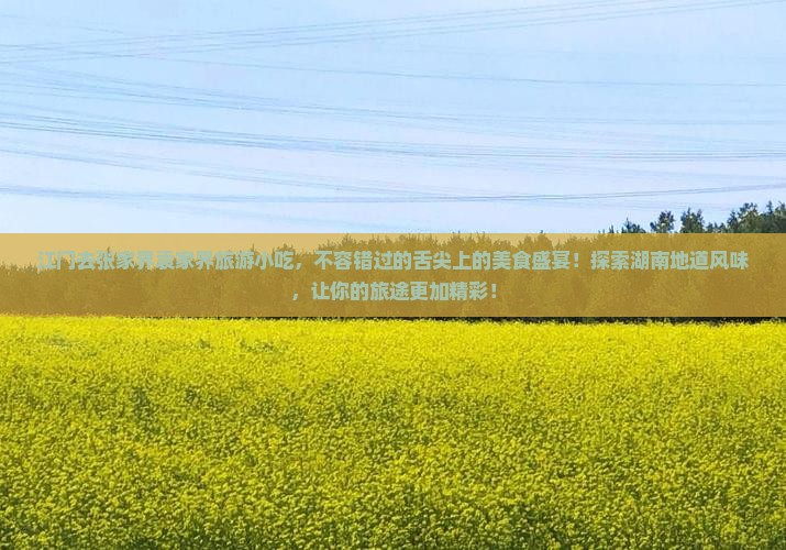 江门去张家界袁家界旅游小吃