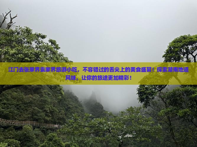 江门去张家界袁家界旅游小吃