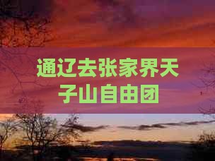 通辽去张家界天子山自由团