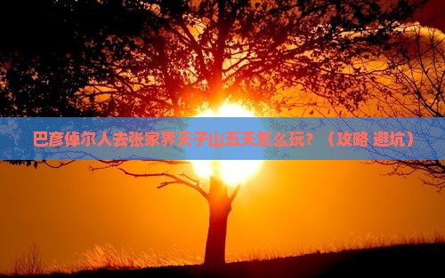巴彦倬尔去张家界天子山五日游