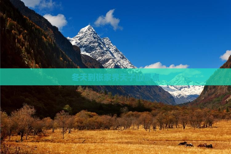 冬天到张家界天子山景点
