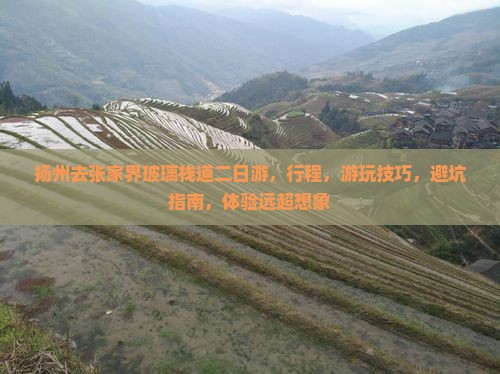扬州去张家界玻璃栈道二日游