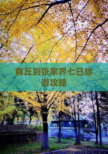 商丘到张家界七日游