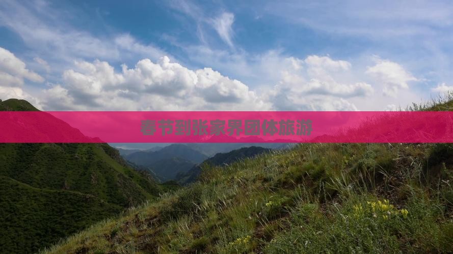 春节到张家界团体旅游