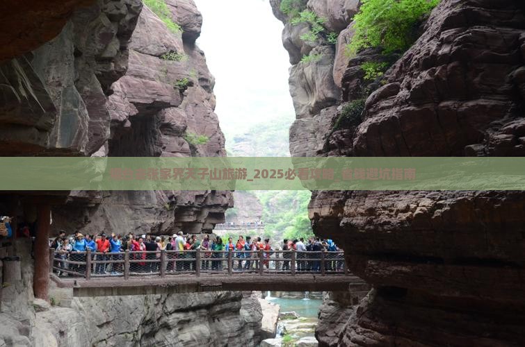 烟台去张家界天子山旅游