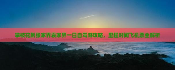 攀枝花到张家界袁家界一日