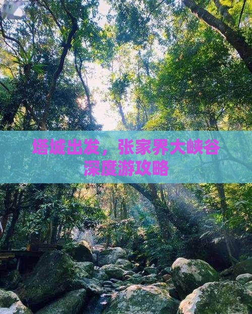 塔城到张家界大峡谷攻略
