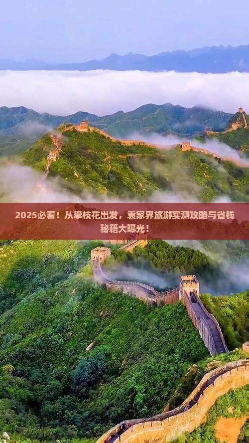 攀枝花到张家界袁家界旅游