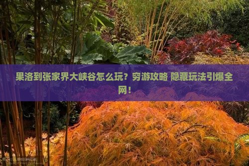 果洛到张家界大峡谷哪里玩