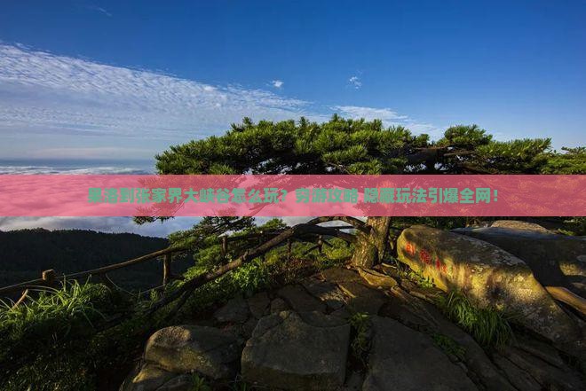 果洛到张家界大峡谷哪里玩
