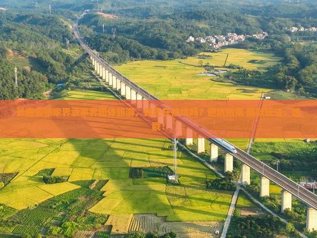 长春去张家界袁家界团体旅游