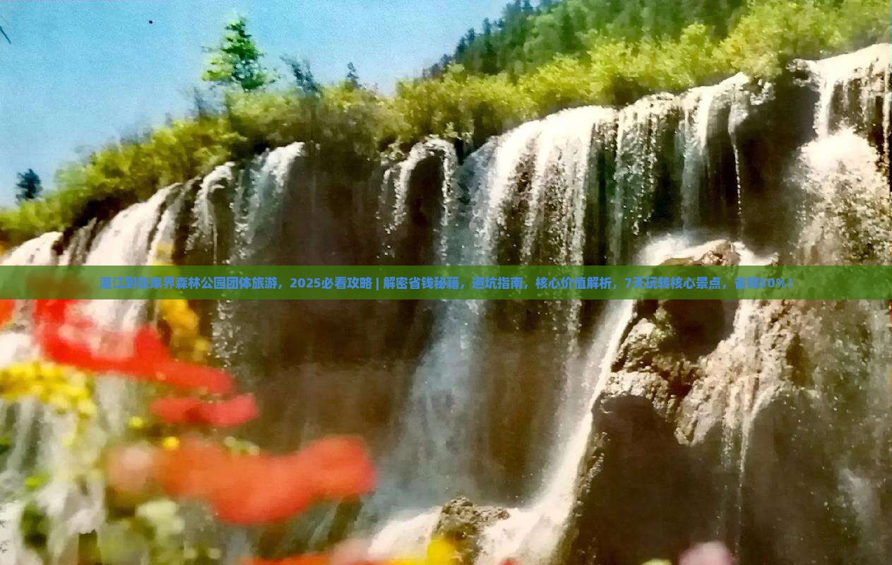 湛江到张家界森林公园团体旅游