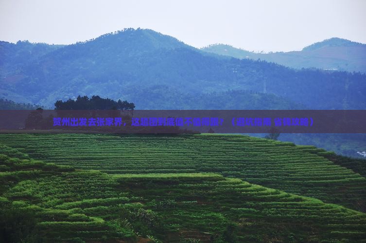 贺州去张家界大型旅游团