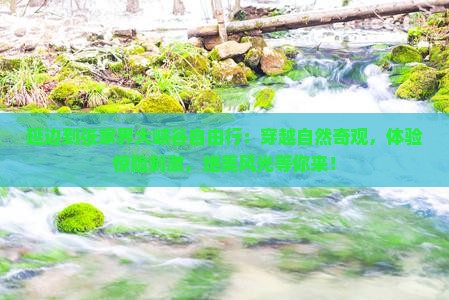 延边到张家界大峡谷自由行