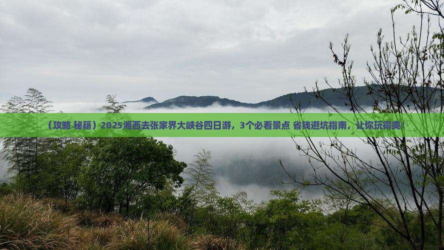 湘西去张家界大峡谷四日游