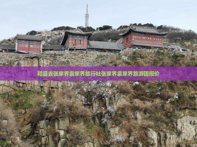 和县去张家界袁家界旅行社