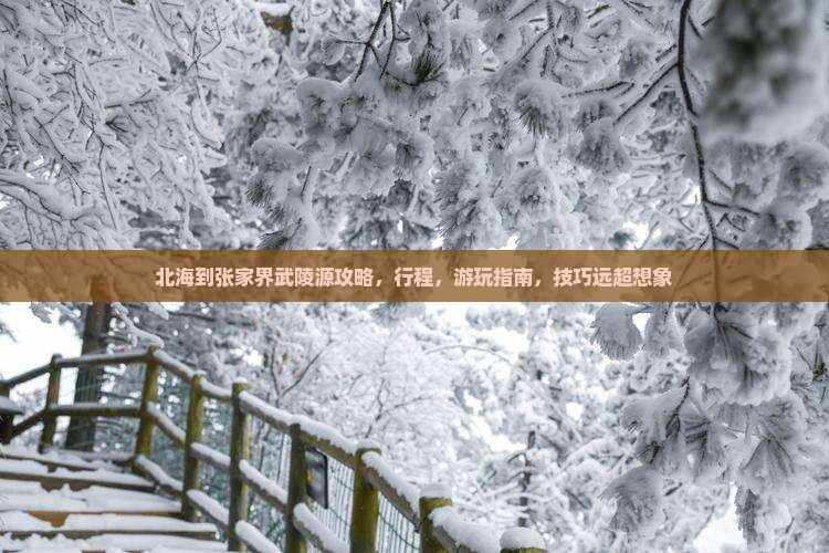 北海到张家界武陵源攻略