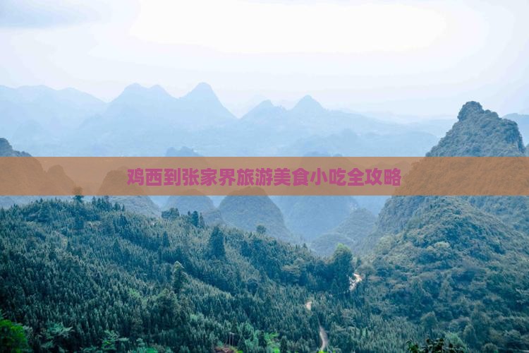 鸡西到张家界旅游小吃