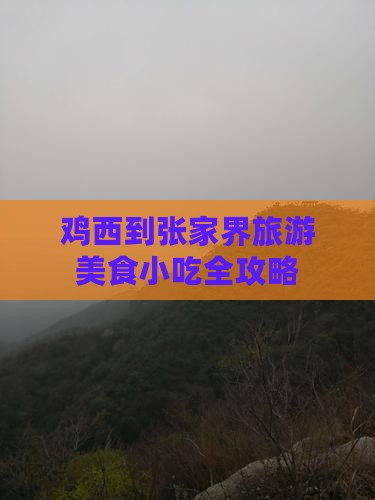 鸡西到张家界旅游小吃