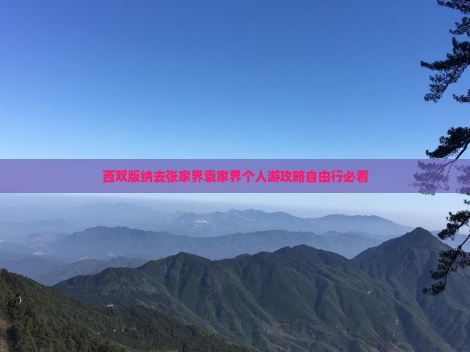 西双版纳去张家界袁家界个人游