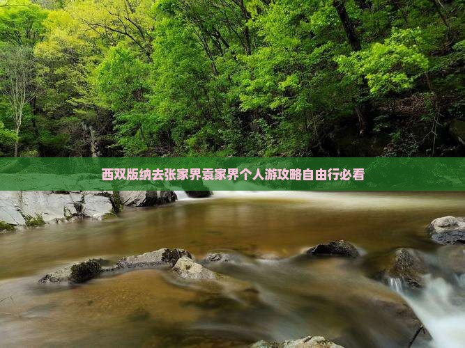 西双版纳去张家界袁家界个人游