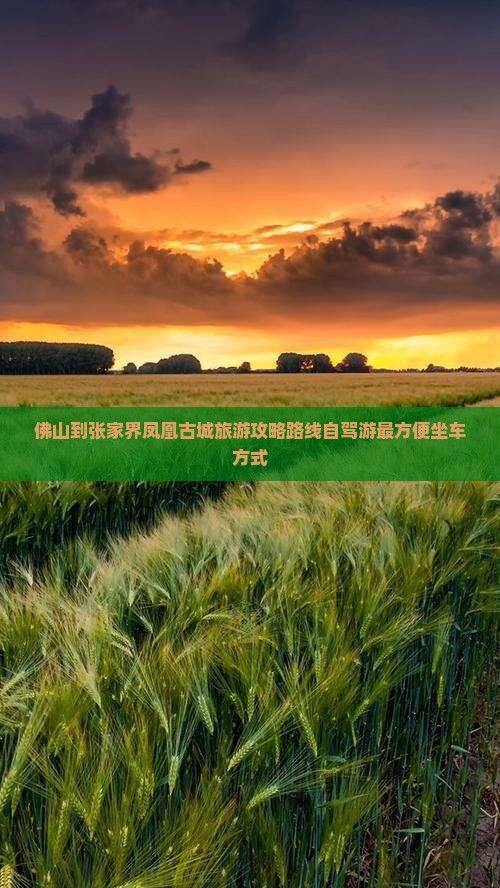 佛山到张家界凤凰古城旅游