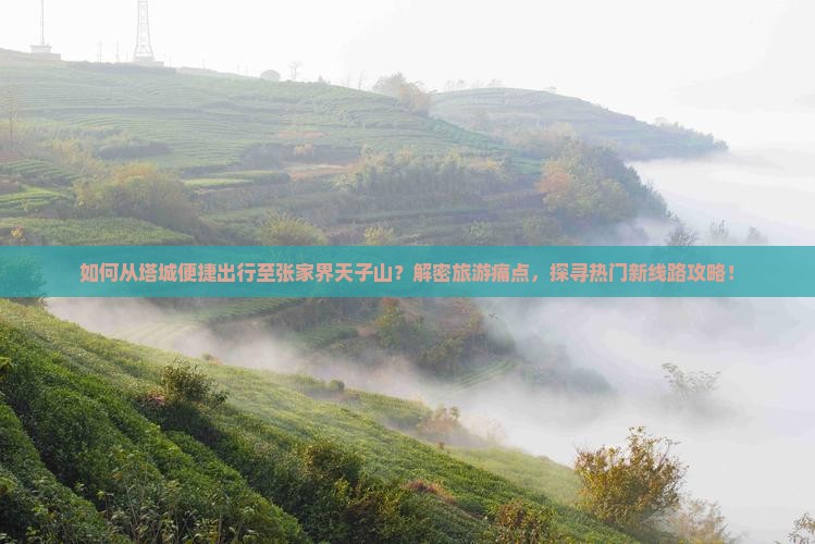 如何从塔城便捷出行至张家界天子山？解密旅游痛点，探寻热门新线路攻略！