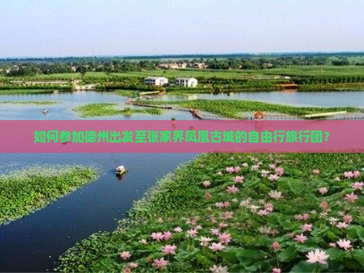 如何参加德州出发至张家界凤凰古城的自由行旅行团？