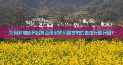 如何参加德州出发至张家界凤凰古城的自由行旅行团？