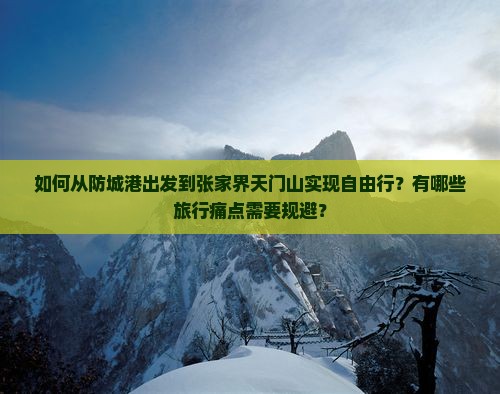 如何从防城港出发到张家界天门山实现自由行？有哪些旅行痛点需要规避？
