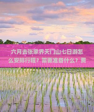 六月去张家界天门山七日游怎么安排行程？需要准备什么？费用大概是多少？