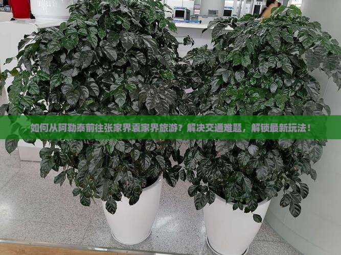 如何从阿勒泰前往张家界袁家界旅游？解决交通难题，解锁最新玩法！